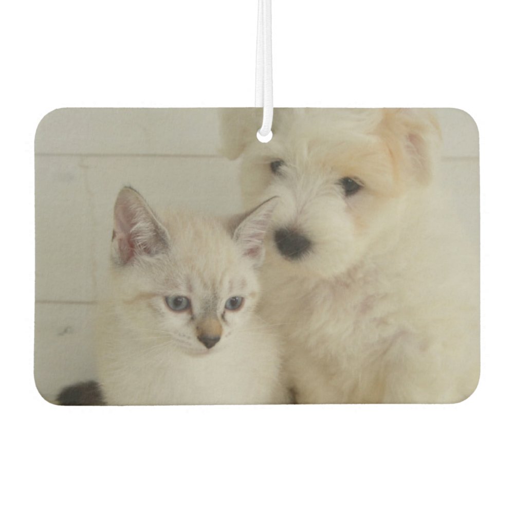 Custom Pet Photo Car Air Freshener