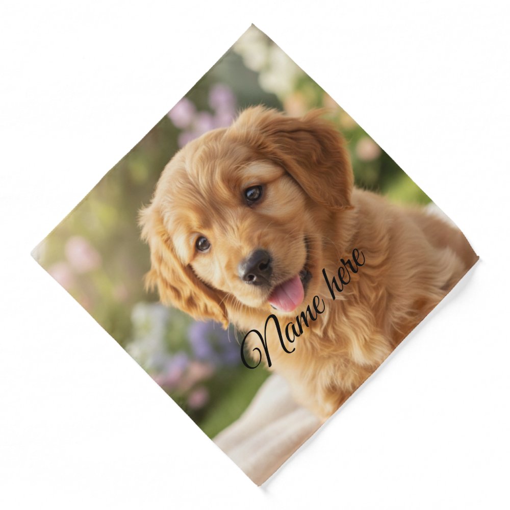 Dog cat pet name photo template simple minimal  bandana