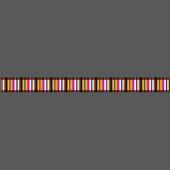 Cute black orange stripes pet leash