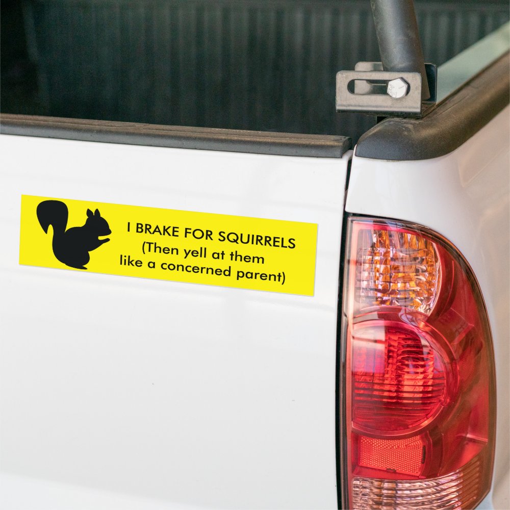 I Brake for Squirrels Bumper Sticker