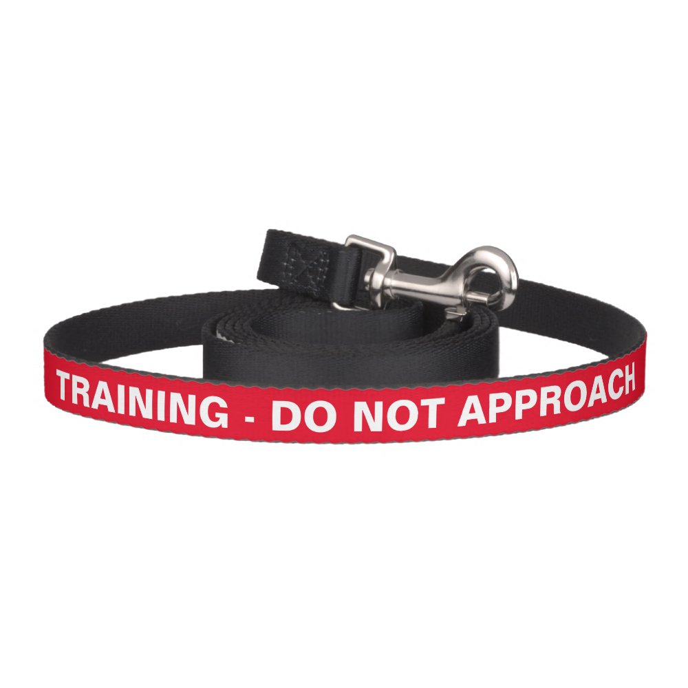 Training - do not approach leash