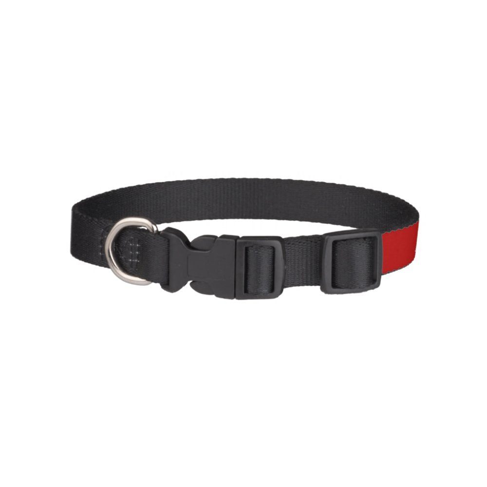 Delta Chi White and Red Letters Pet Collar