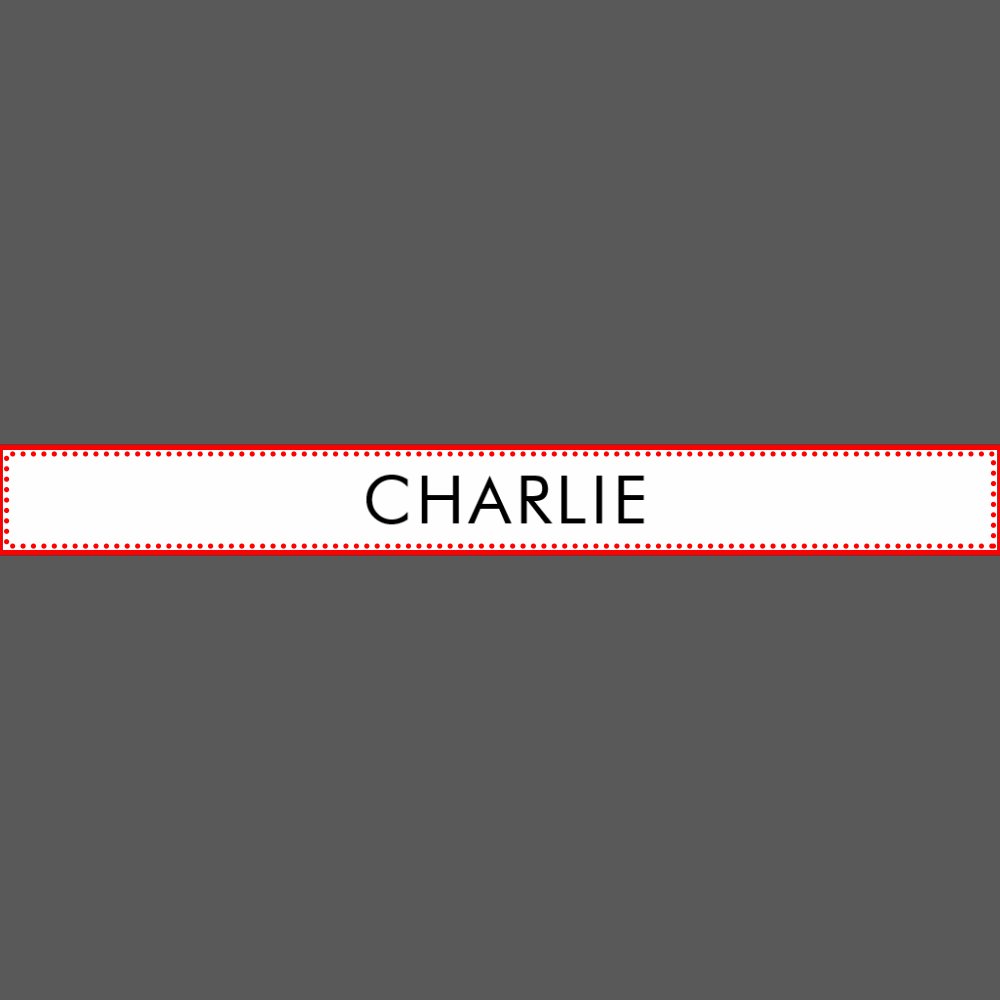 Modern Pet Name Personalized Bowl