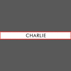 Modern Pet Name Personalized Bowl