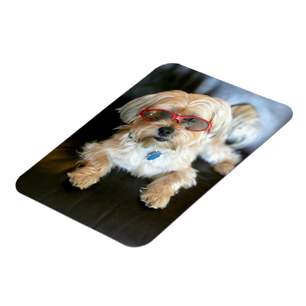 Custom Photo Refrigerator Magnet