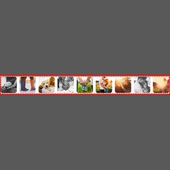 9 Photos in Round Edge Frame Pet Bowl