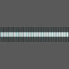 Cute aqua gray stripes pet leash
