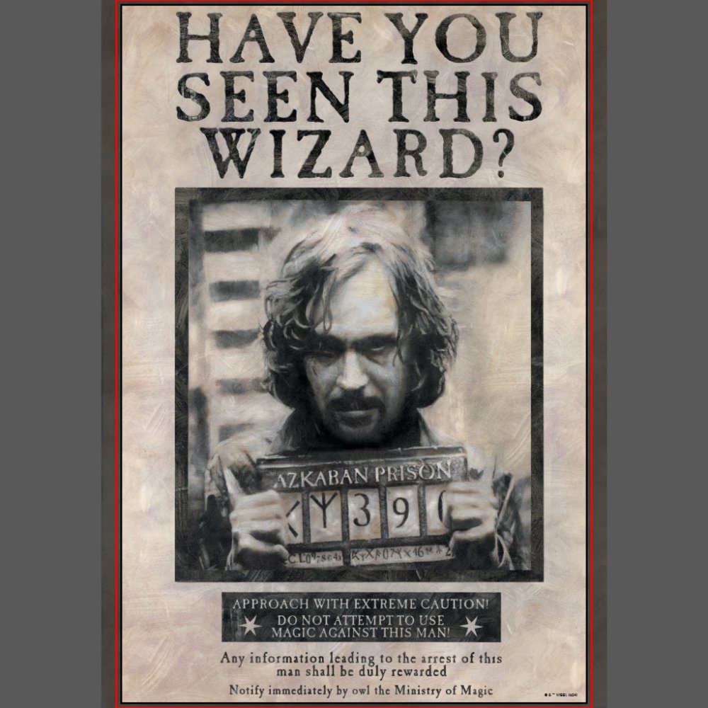 HARRY POTTER™ Wanted Wall Art Sets