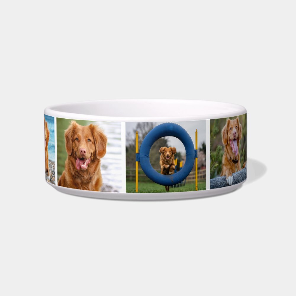 Photo Collage Simple Pet Bowl