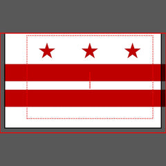 Patriotic Single Pillowcase flag of Washington DC