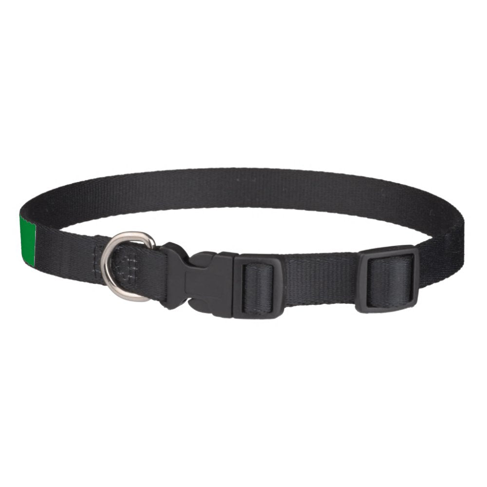 Pet name collar