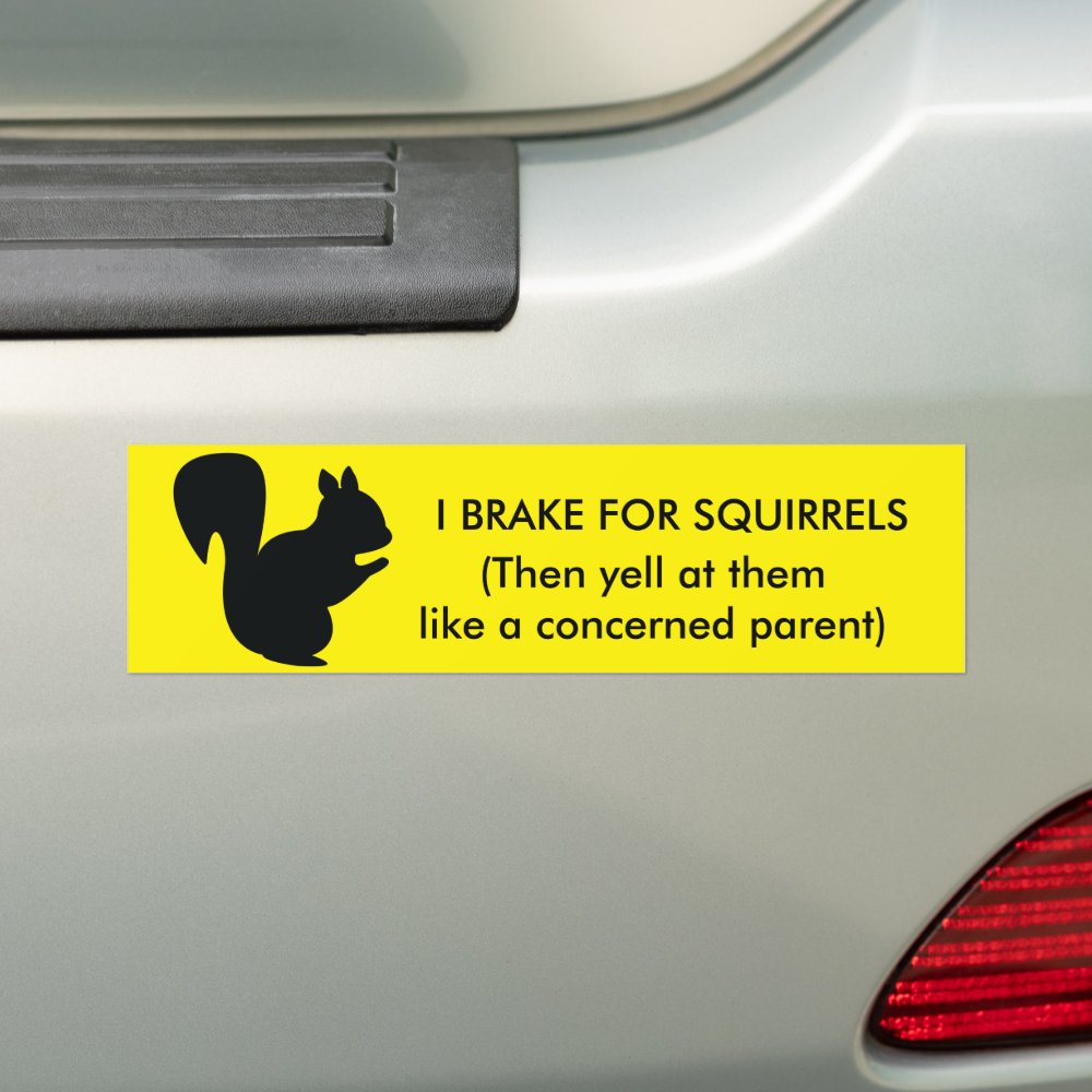 I Brake for Squirrels Bumper Sticker