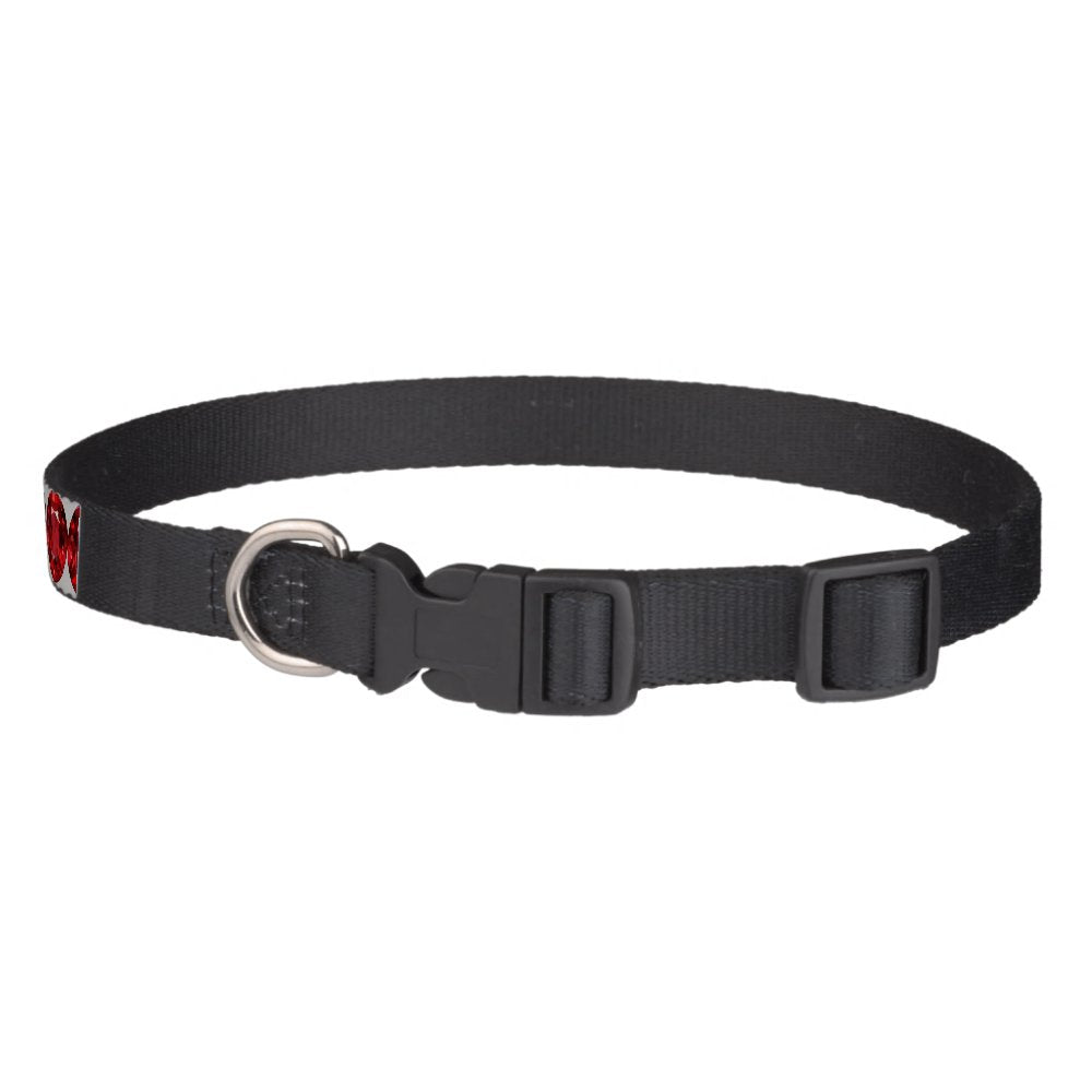 Ruby Pet Collar