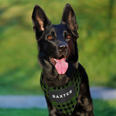 Cute Green Buffalo Plaid Personalized Dog Pet Bandana Collar