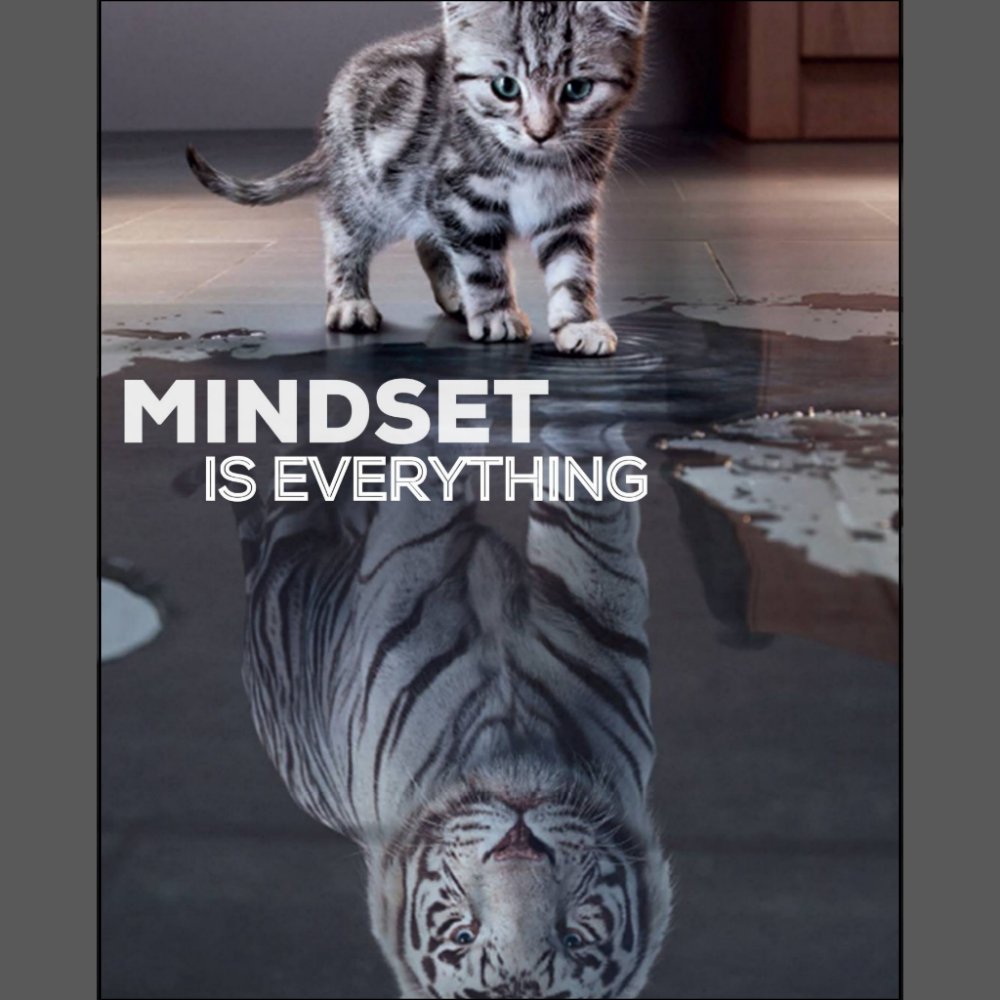 mindset is everything poster