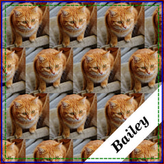 Pet Cat Dog  Personalized Photo Template Bandana