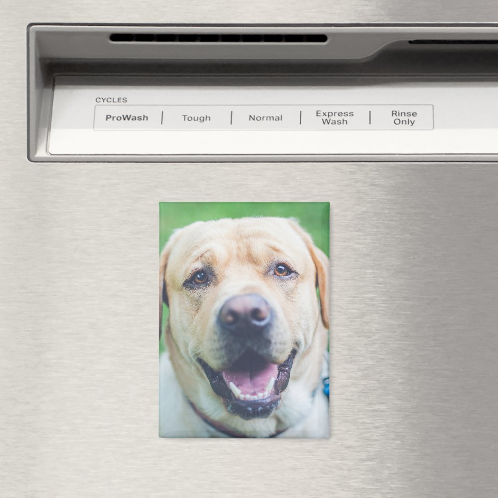 Personalized photo or art  magnet
