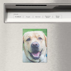 Personalized photo or art  magnet