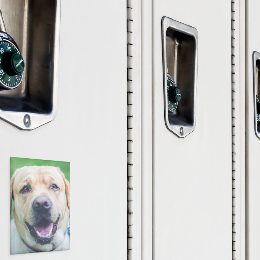 Personalized photo or art  magnet